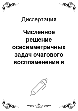 Диссертация: Численное решение осесимметричных задач очагового воспламенения в замкнутых объемах в условиях гравитационной конвекции