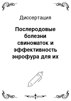 Диссертация: Послеродовые болезни свиноматок и эффективность энрофура для их терапии и профилактики