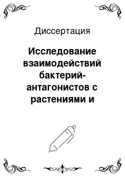 Диссертация: Исследование взаимодействий бактерий-антагонистов с растениями и фитопатогенными грибами