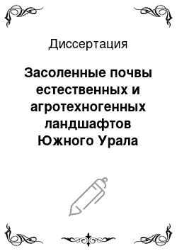 Диссертация: Засоленные почвы естественных и агротехногенных ландшафтов Южного Урала