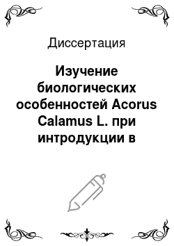 Диссертация: Изучение биологических особенностей Acorus Calamus L. при интродукции в Центральном Нечерноземном регионе России