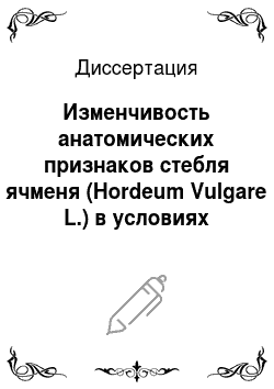 Диссертация: Изменчивость анатомических признаков стебля ячменя (Hordeum Vulgare L.) в условиях лесостепи Кемеровской области