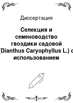 Диссертация: Селекция и семеноводство гвоздики садовой (Dianthus Caryophyllus L.) с использованием мужской стерильности