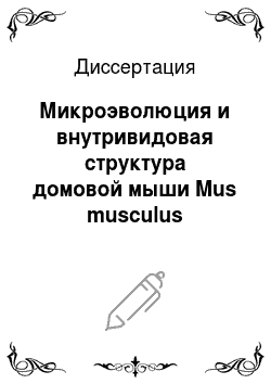 Диссертация: Микроэволюция и внутривидовая структура домовой мыши Mus musculus
