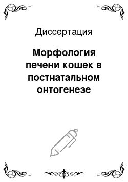 Диссертация: Морфология печени кошек в постнатальном онтогенезе