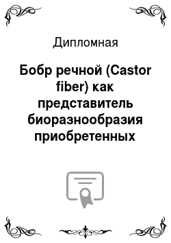 Дипломная: Бобр речной (Castor fiber) как представитель биоразнообразия приобретенных биогеоценозов и как объект охоты Вологодского района Вологодской области