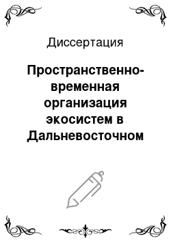 Диссертация: Пространственно-временная организация экосистем в Дальневосточном регионе