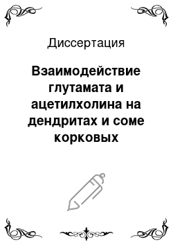 Диссертация: Взаимодействие глутамата и ацетилхолина на дендритах и соме корковых нейронов: формирование импульсных реакций