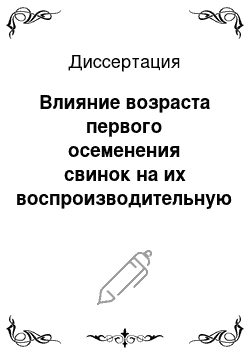 Диссертация: Влияние возраста первого осеменения свинок на их воспроизводительную функцию в условиях промышленного комплекса и фермерского хозяйства