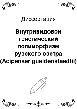 Диссертация: Внутривидовой генетический полиморфизм русского осетра (Acipenser gueldenstaedtii)