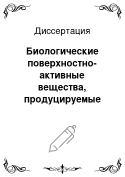 Диссертация: Биологические поверхностно-активные вещества, продуцируемые микроорганизмами-нефтедеструкторами родов Pseudomonas и Rhodococcus