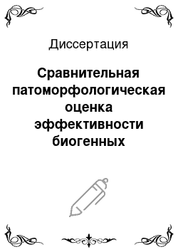 Диссертация: Сравнительная патоморфологическая оценка эффективности биогенных качеств препаратов мелапол плюс и ветамекс для животных