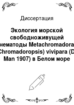 Диссертация: Экология морской свободноживущей нематоды Metachromadora (Chromadoropsis) vivipara (De Man 1907) в Белом море