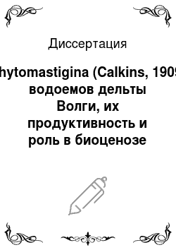 Диссертация: Phytomastigina (Calkins, 1909) водоемов дельты Волги, их продуктивность и роль в биоценозе