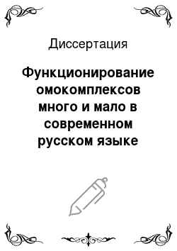 Диссертация: Функционирование омокомплексов много и мало в современном русском языке