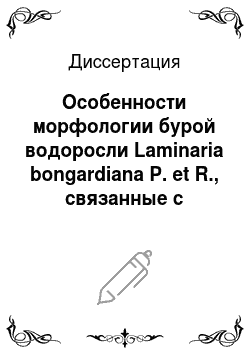 Диссертация: Особенности морфологии бурой водоросли Laminaria bongardiana P. et R., связанные с ростом, размножением и условиями обитания
