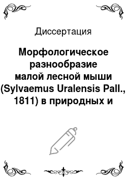 Диссертация: Морфологическое разнообразие малой лесной мыши (Sylvaemus Uralensis Pall., 1811) в природных и техногенных условиях на Центральном Кавказе