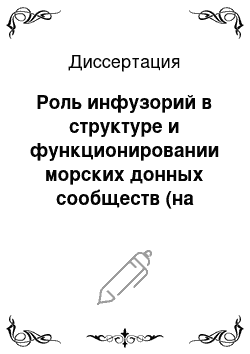 Диссертация: Роль инфузорий в структуре и функционировании морских донных сообществ (на примере литорали Белого моря)