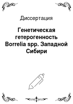 Диссертация: Генетическая гетерогенность Borrelia spp. Западной Сибири