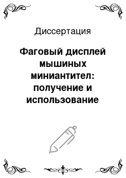 Диссертация: Фаговый дисплей мышиных миниантител: получение и использование