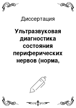 Диссертация: Ультразвуковая диагностика состояния периферических нервов (норма, повреждения, заболевания)