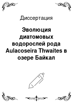 Диссертация: Эволюция диатомовых водорослей рода Aulacoseira Thwaites в озере Байкал