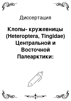 Диссертация: Клопы-кружевницы (Heteroptera, Tingidae) Центральной и Восточной Палеарктики: Систематика, биология, зоогеография, фауногенез