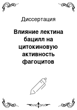 Диссертация: Влияние лектина бацилл на цитокиновую активность фагоцитов