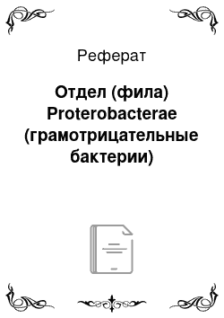 Реферат: Отдел (фила) Proterobacterae (грамотрицательные бактерии)