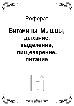 Реферат: Витамины. Мышцы, дыхание, выделение, пищеварение, питание