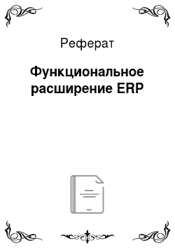 Реферат: Функциональное расширение ERP