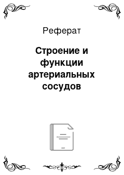 Реферат: Строение и функции артериальных сосудов