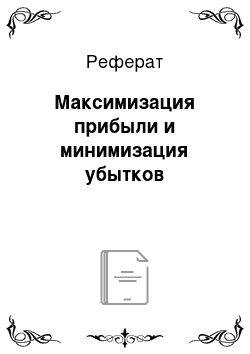 Реферат: Максимизация прибыли и минимизация убытков