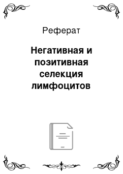 Реферат: Негативная и позитивная селекция лимфоцитов