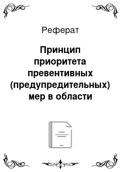 Реферат: Принцип приоритета превентивных (предупредительных) мер в области обеспечения национальной безопасности