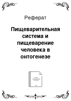 Реферат: Пищеварительная система и пищеварение человека в онтогенезе