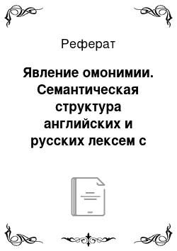 Реферат: Явление омонимии. Семантическая структура английских и русских лексем с корнем "econom"