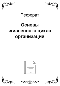 Реферат: Основы жизненного цикла организации