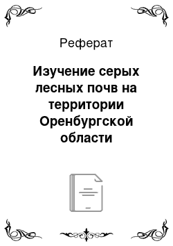 Реферат: Изучение серых лесных почв на территории Оренбургской области