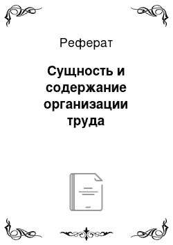 Реферат: Сущность и содержание организации труда