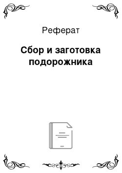 Реферат: Сбор и заготовка подорожника