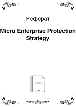 Реферат: Micro Enterprise Protection Strategy