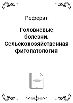 Реферат: Головневые болезни. Сельскохозяйственная фитопатология