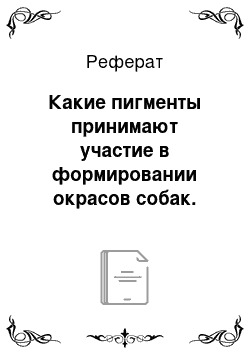 Реферат: Какие пигменты принимают участие в формировании окрасов собак. Размещение пигментов в волосе. Перечислите центры первичной депигментации на теле собак