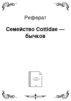 Реферат: Семейство Cottidae — бычков