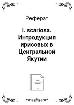 Реферат: I. scariosa. Интродукция ирисовых в Центральной Якутии