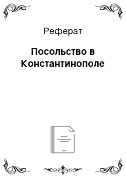 Реферат: Посольство в Константинополе