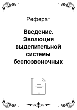 Реферат: Введение. Эволюция выделительной системы беспозвоночных животных