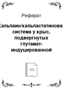 Реферат: Кальпаин/кальпастатиновая система у крыс, подвергнутых глутамат-индуцированной нейродегенерации на фоне терапии потенциальными нейропротекторами