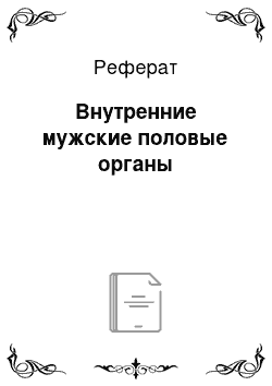 Реферат: Внутренние мужские половые органы